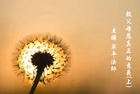报父母恩真正的意义下集